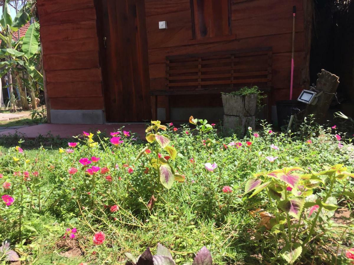 Lemon Tree Hostel Аругам Экстерьер фото